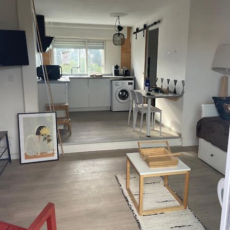 Studio A 15 Mn De Toulouse A Castelginest Exterior foto